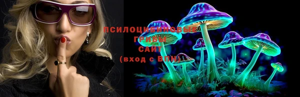 спиды Горнозаводск