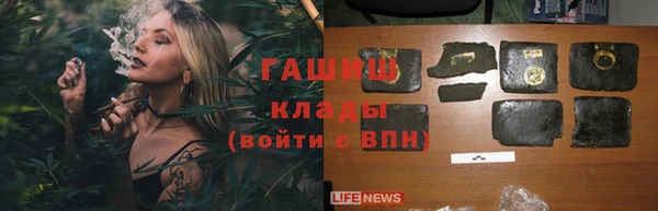 гидропоника Горняк