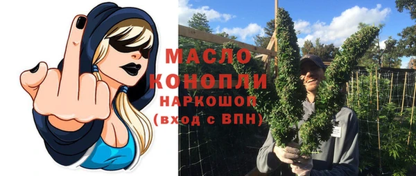 гидропоника Горняк