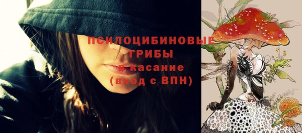 спиды Горнозаводск