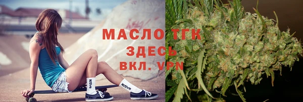 гидропоника Горняк